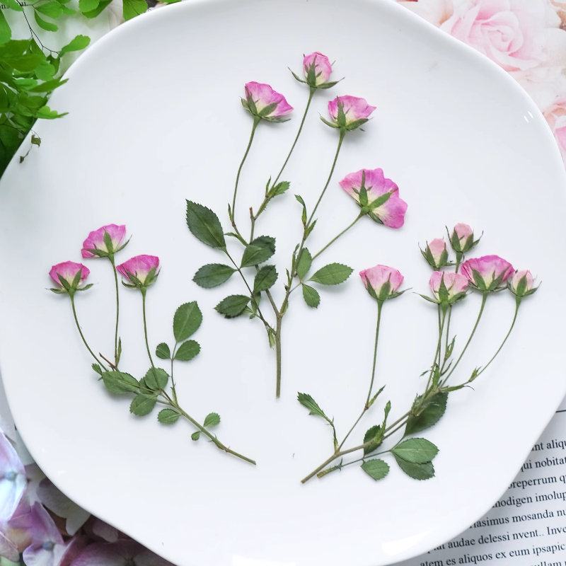 12 peças, Mini Rosas Cor-de-Ro - Candle Supplies Usa avaliação e preço